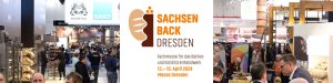 Sachsenback Headerbild